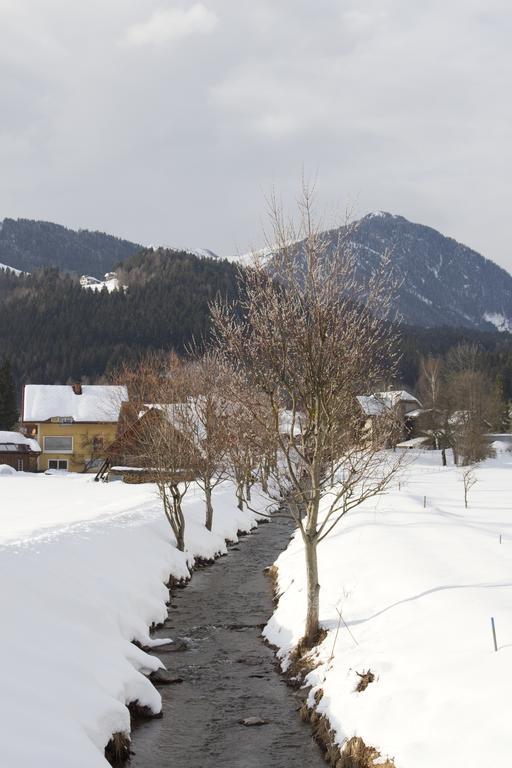 Apartmenthaus Berdnik Kotschach-Mauthen Habitación foto